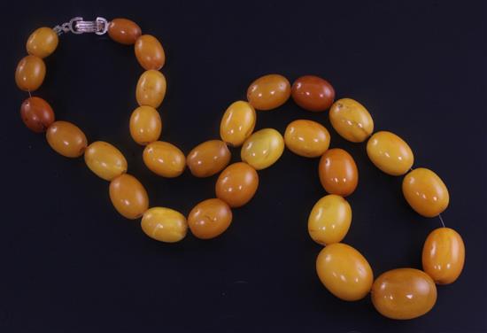 A single strand graduated oval amber bead necklace, 20in